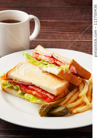BLT sand 113700436