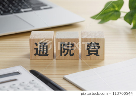 一塊積木，上面寫著醫院費用。 113700544