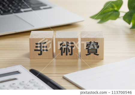 一塊積木,上面寫著「手術費」。 一塊積木,上面寫著「手術費」。 113700546