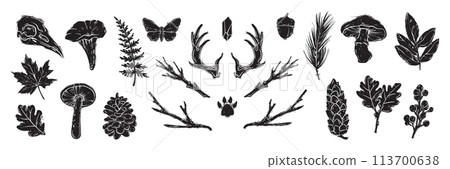 Linocut forest branch set vector engraving Scandinavian leaf, mushroom, cones black print collection Linocut forest branch set vector engraving Scandinavian leaf, mushroom, cones black print collection 113700638