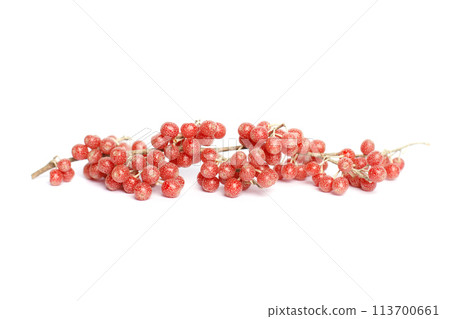 Berries of Shepherdia canadensis on white background Berries of Shepherdia canadensis on white background 113700661