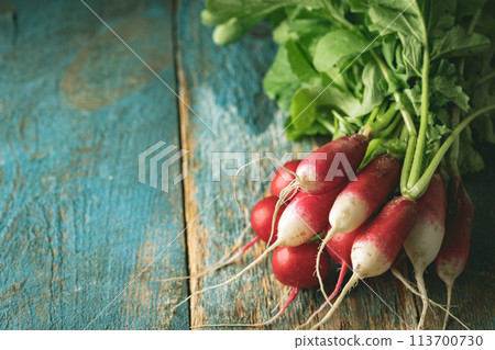 Fresh radish lies Fresh radish lies 113700730