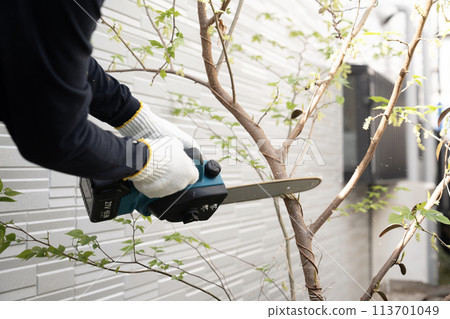 園林綠化工人用電鋸切割園林樹木樹枝的手 園林綠化工人用電鋸切割園林樹木樹枝的手 113701049