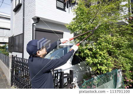 園林工人切割花園的樹 113701100