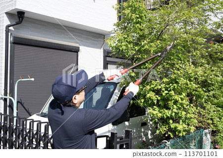 Landscape worker cutting the garden tree 113701101