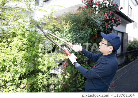 Landscape worker cutting the garden tree 113701104