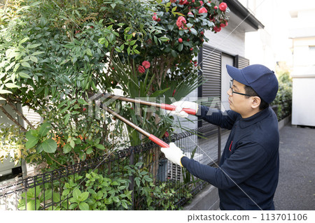 Landscape worker cutting the garden tree Landscape worker cutting the garden tree 113701106