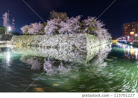 [春天]德島中央公園的夜櫻 113701227