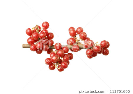 Fresh Buffaloberry or Shepherdia berries isolated on white background 113701600