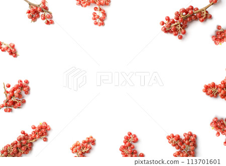 Border of Buffaloberry or Shepherdia, healthy food frame on white background 113701601