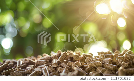 wood, star, green 113701622