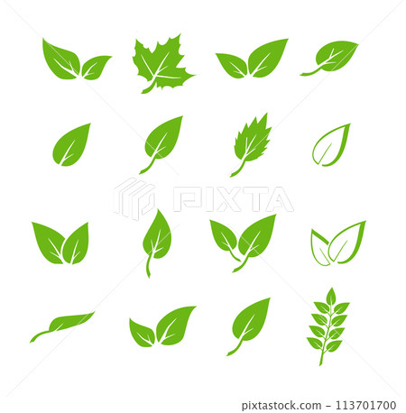 Green leaf icons set. Elements design for natural, eco, vegan. Leaves icon on isolated background. Collection green leaf. Vector Green leaf icons set. Elements design for natural, eco, vegan. Leaves icon on isolated background. Collection green leaf. Vector 113701700