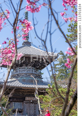 [第一寺院] 泉神山寺多寶塔[四國88處] 113701834