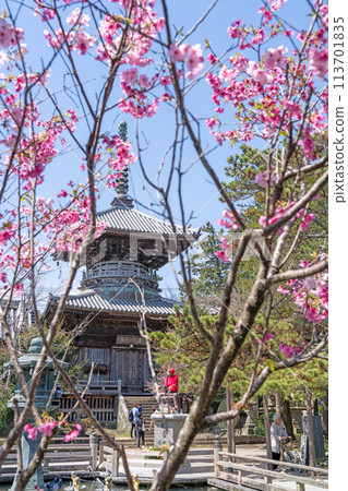 [第一寺院] 泉神山寺多寶塔[四國88處] 113701835