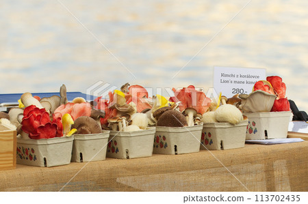 Selling edible mushrooms at street food market 113702435