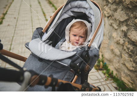 Caucasian cute baby boy 7-9 months old in baby stroller outdoors 113702592