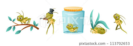 Cute Little Grasshopper Engaged in Various Activity Vector Set Cute Little Grasshopper Engaged in Various Activity Vector Set 113702653