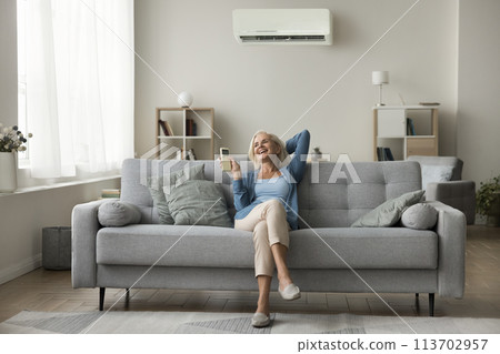 Woman relaxing on sofa holding remote control managing temperature inside Woman relaxing on sofa holding remote control managing temperature inside 113702957