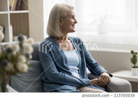Attractive peaceful mature female resting seated in comfortable armchair 113703039