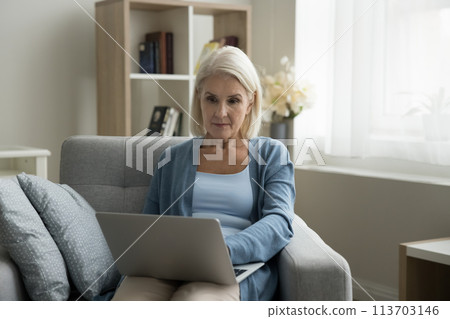 Mature woman relaxing at home use wireless internet and laptop 113703146