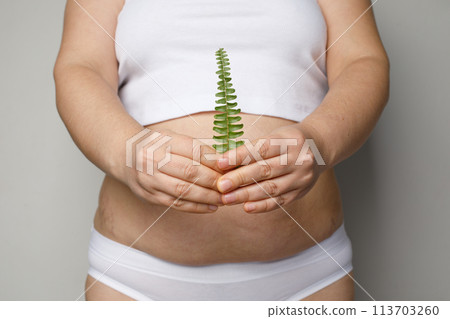 young adult human stomach tummy and green leaf in female hand closeup. young adult human stomach tummy and green leaf in female hand closeup. 113703260