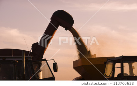 Harvester machine, harvesting in the Argentine countryside, Buenos Aires province, Argentina. Harvester machine, harvesting in the Argentine countryside, Buenos Aires province, Argentina. 113703638