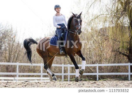 Young Equestrian Practices Dressage Vaults 113703832