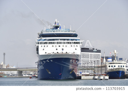 Photographing the Celebrity Millennium docking at Hakodate Port in Hakodate, Hokkaido in spring 113703915
