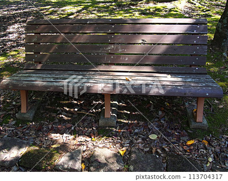 老公園長椅 113704317