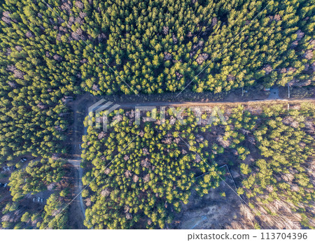 Aerial drone view of stunning colorful autumn fall forest. 113704396