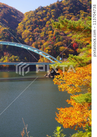 Autumn leaves on the lakeside (Takane Norikura Lake and Takane Ohashi Bridge, Takayama City, Gifu Prefecture) Autumn leaves on the lakeside (Takane Norikura Lake and Takane Ohashi Bridge, Takayama City, Gifu Prefecture) 113704738