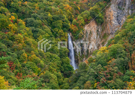 (Nagano Prefecture) Kanman Falls in Shiga Kogen where the leaves begin to change color 113704879
