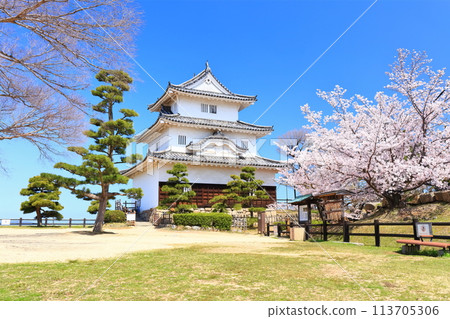 [香川縣] 春天櫻花盛開的丸龜城（現存天守閣和石牆名城） 113705306