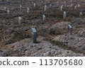 Many unmarked (nameless) graves  - unidentified burials with digits instead of names. 113705680