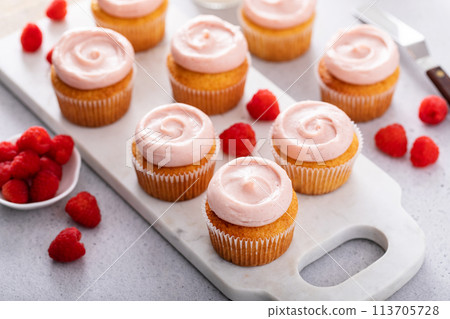 Raspberry cupcakes with a swirl of frosting 113705728