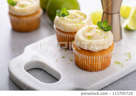Mojito cupcakes with lime and coconut garnished with mint 113705729