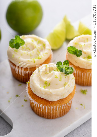 Mojito cupcakes with lime and coconut garnished with mint Mojito cupcakes with lime and coconut garnished with mint 113705733