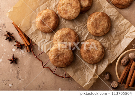 Cinnamon cookies on a parchment paper with milk Cinnamon cookies on a parchment paper with milk 113705804
