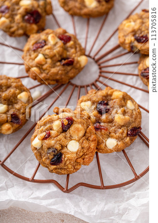 White chocolate and cranberry cookies on a cooling rack White chocolate and cranberry cookies on a cooling rack 113705816