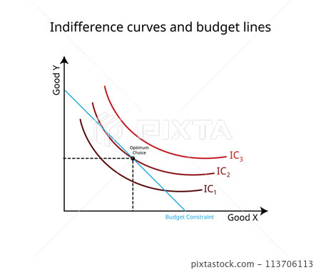 budget constraints and indifference curves graph in economics 113706113