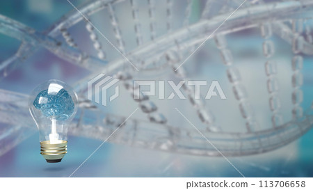 The Brain light bulb on dna background for education or creative inspiration concept 3d rendering. The Brain light bulb on dna background for education or creative inspiration concept 3d rendering. 113706658