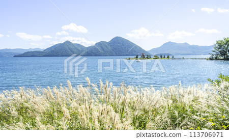 洞爺湖畔的蒲葦，背景是浮禦堂和有珠山 16:9 洞爺湖町 113706971