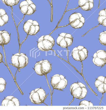 Vector seamless pattern with cotton branches. Hand-drawn ink illustration. 113707225
