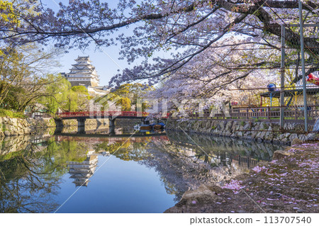 Reflection of Himeji Castle and Shiromi Bridge during the cherry blossom season 113707540