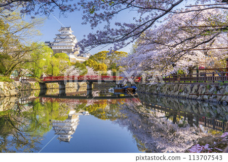 Reflection of Himeji Castle and Shiromi Bridge during the cherry blossom season Reflection of Himeji Castle and Shiromi Bridge during the cherry blossom season 113707543