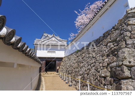 盛開的櫻花和姬路城(二之門) 盛開的櫻花和姬路城(二之門) 113707567