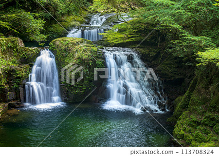 攜帶瀑布 113708324