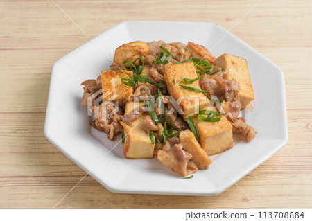 炒豬肉和豆腐 炒豬肉和豆腐 113708884