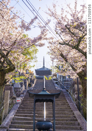 Spring in Kyoto: Konkai-Komyoji Temple, cherry blossoms and three-story pagoda (Monju Tower) Spring in Kyoto: Konkai-Komyoji Temple, cherry blossoms and three-story pagoda (Monju Tower) 113708956