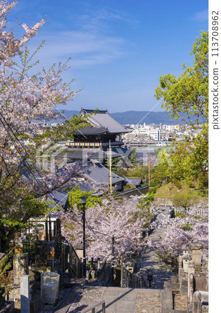 Spring in Kyoto: Konkai-Komyoji Temple - Cherry blossoms and the temple gate overlooked from the Monju Tower 113708962